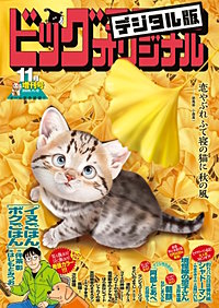 ビッグコミックオリジナル増刊