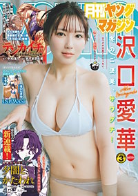 月刊ヤングマガジン