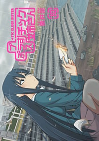 プラスチック姉さん 10巻｜まんが王国