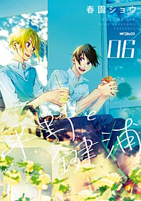 平野と鍵浦