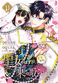 聖女のはずが、どうやら乗っ取られました
