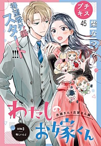 わたしのお嫁くん プチキス