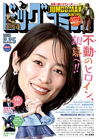 ビッグコミック