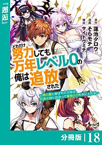 どれだけ努力しても万年レベル0の俺は追放された~神の敵と呼ばれた少年は、社畜女神と出会って最強の力を手に入れる~【分冊版】(ノヴァコミックス)