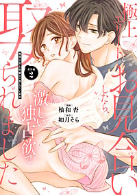 極上エリートとお見合いしたら、激しい独占欲で娶られました　俺様上司と性癖が一致しています