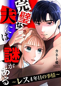 完璧な夫には謎がある～レス4年目の事情～