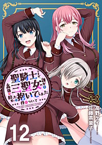 聖騎士ですが、高嶺の三聖女の誰かを酔った勢いで抱いてしまった件について WEBコミックガンマぷらす連載版