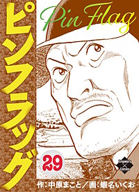 ピンフラッグ