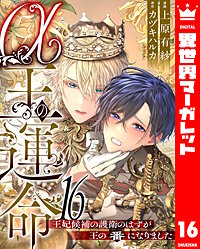 α王の運命～王妃候補の護衛のはずが王の番になりました～