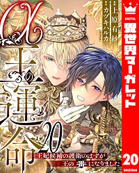 α王の運命～王妃候補の護衛のはずが王の番になりました～