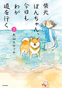 柴犬ぽんちゃん、今日もわが道を行く