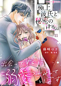 極上彼氏と秘密の甘恋～出会ってすぐに溺愛されています～【分冊版】