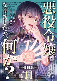 悪役令嬢になりましたが、何か?【分冊版】