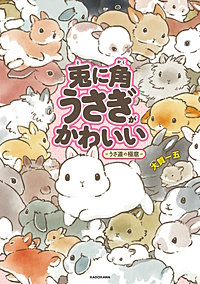 兎に角うさぎがかわいい