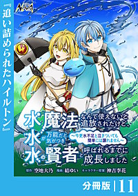 水魔法なんて使えないと追放されたけど、水が万能だと気がつき水の賢者と呼ばれるまでに成長しました~今更水不足と泣きついても簡単には譲れません~【分冊版】