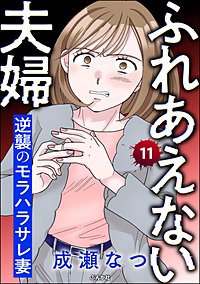 ふれあえない夫婦 逆襲のモラハラサレ妻（分冊版）