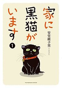 家に黒猫がいます