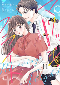comic Berry’sマリッジ・フライト～天才パイロットと交際0日結婚事情～