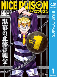 NICE PRISON