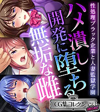 ハメ潰し開発に堕ちる無垢な雌 ～性処理ブラック企業と人妻監獄学園～【CG集コレクション ミニ】
