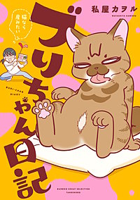 ブリちゃん日記　猫なら産みたい