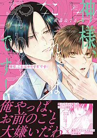 神様、これはやりすぎです！