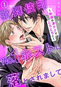 歌舞伎町No.1ホストに落とされまして～魅惑の凄テクでとろとろに～