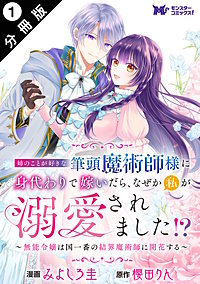 姉のことが好きな筆頭魔術師様に身代わりで嫁いだら、なぜか私が溺愛されました!? ~無能令嬢は国一番の結界魔術師に開花する~(コミック) 分冊版