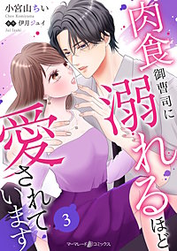 肉食御曹司に溺れるほど愛されています【分冊版】