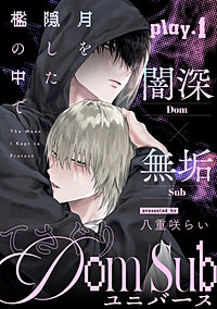 月を隠した檻の中で