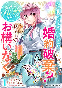 お前呼ばわりで婚約破棄？隣国で自由を謳歌するのでどうぞお構いなく！～追放令嬢、実は最強精霊師でした～