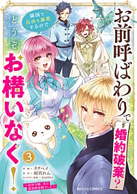 お前呼ばわりで婚約破棄？隣国で自由を謳歌するのでどうぞお構いなく！～追放令嬢、実は最強精霊師でした～
