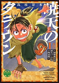 暁天のクラウン ～羽柴秀吉の最もハードな十四日間～