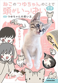 ねこのつゆちゃんのことで頭がいっぱいです