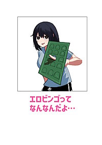 エロビンゴってなんなんだよ…