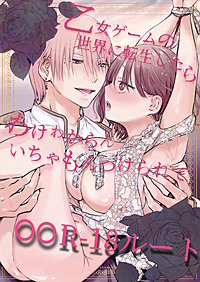 乙女ゲームの世界に転生したら わけわからんいちゃもんつけられて○○R-18ルート