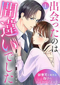 出会ったのは間違いでした～御曹司と始める偽りのエンゲージメント～
