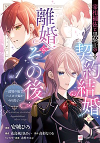 宰相補佐と黒騎士の契約結婚と離婚とその後