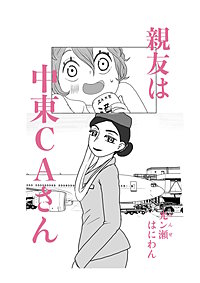 親友は中東CAさん