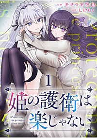 姫の護衛は楽じゃない