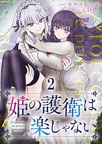 姫の護衛は楽じゃない