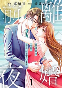 comic Berry’s離婚前夜～今宵、あなたを忘れます～