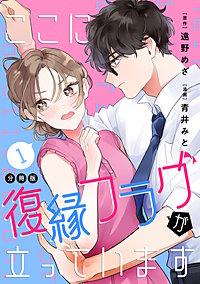ここに復縁フラグが立っています プチキス