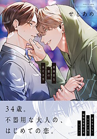 真面目な恋のほどき方