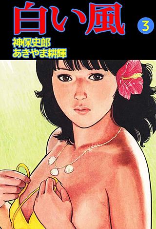 白い風(3)