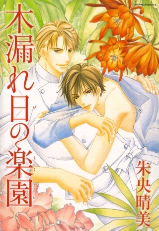 木漏れ日の楽園