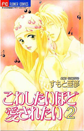 こわしたいほど愛されたい(2)