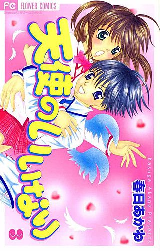 天使のいいなり(3)