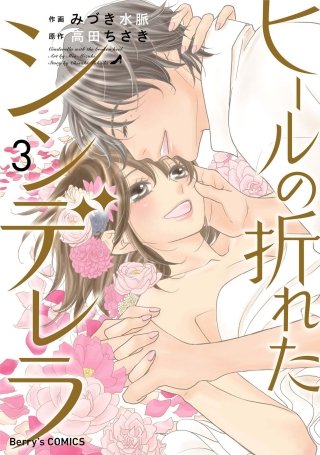ヒールの折れたシンデレラ(3)