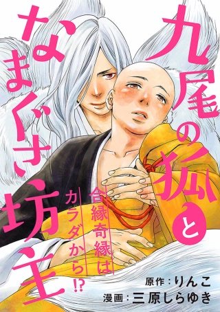九尾の狐となまぐさ坊主 分冊版(4)